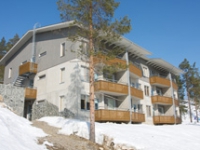 PuhaSuites 43 PuhaSuites 43